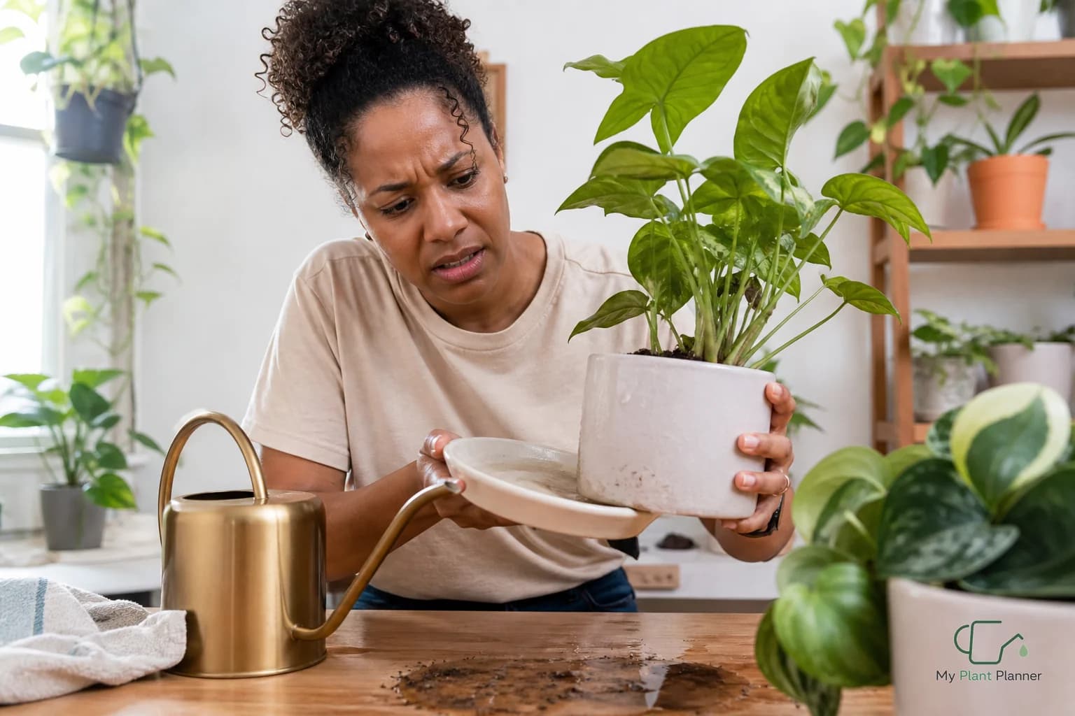 A houseplant in a pot with a hand checking soil moisture before watering