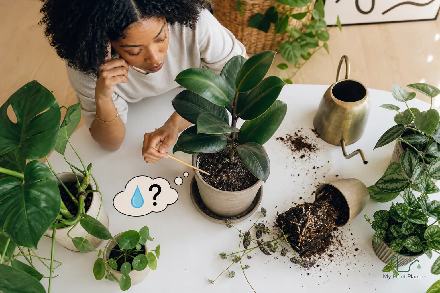 A person checking the top layer of soil in an indoor houseplant pot before watering