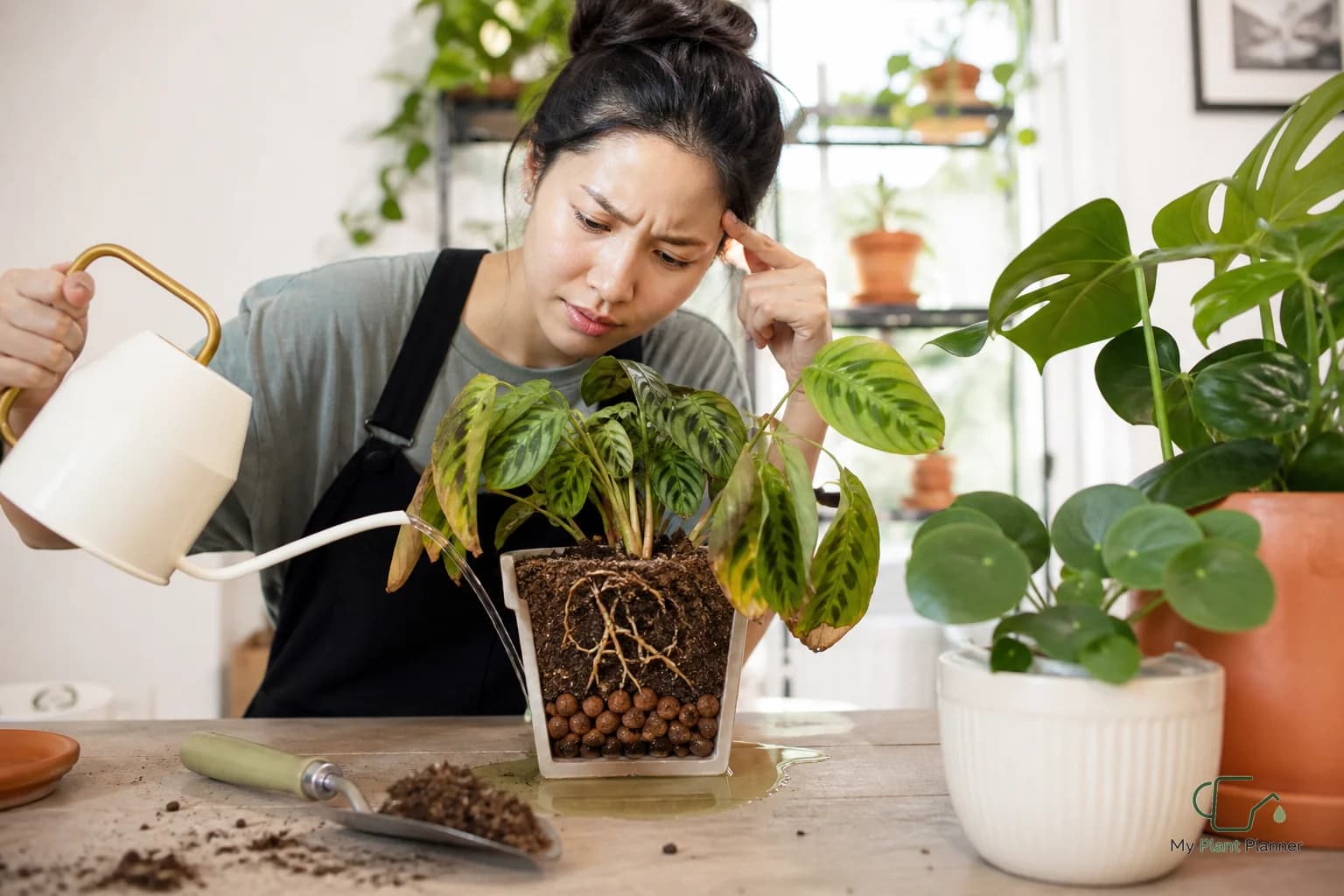 A person checking the soil of a potted indoor plant before watering