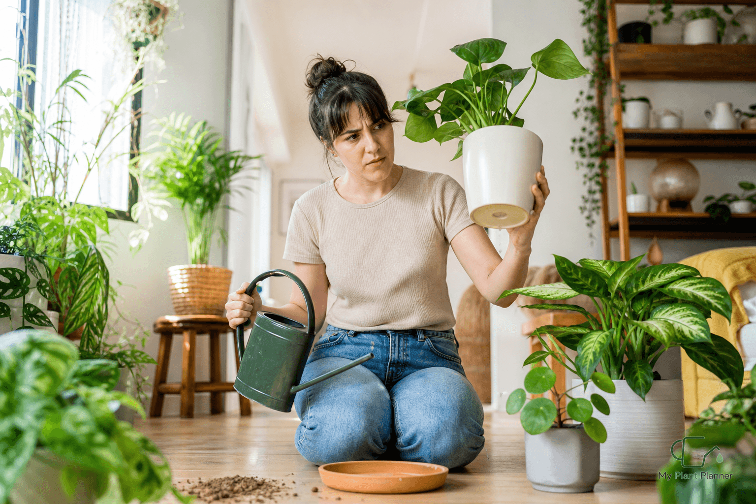 Indoor houseplant with soil and pot weight checks before watering