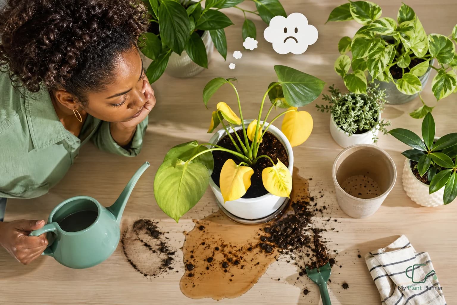 Yellowing houseplant leaf near a watering can indoors